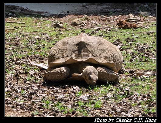 動物園_072.jpg