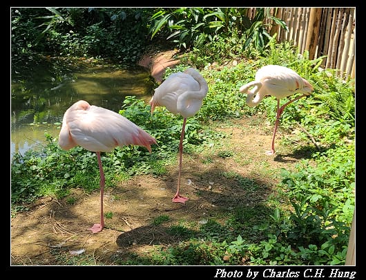 動物園_087.jpg