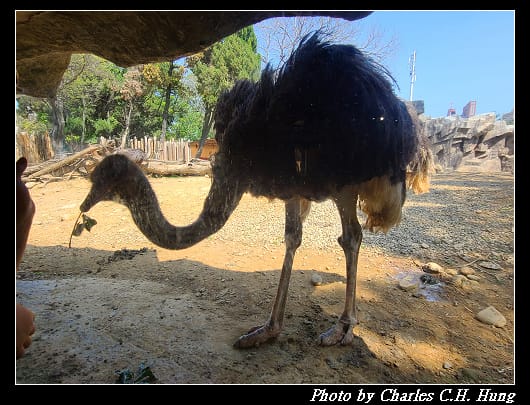 動物園_030.jpg