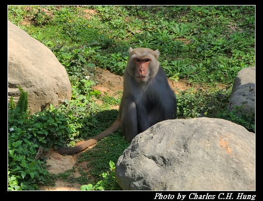 動物園_050.jpg