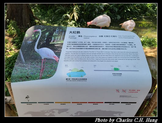 動物園_086.jpg
