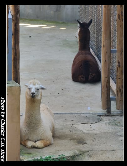 動物園_009.jpg