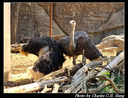 動物園_032.jpg