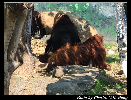 動物園_067.jpg