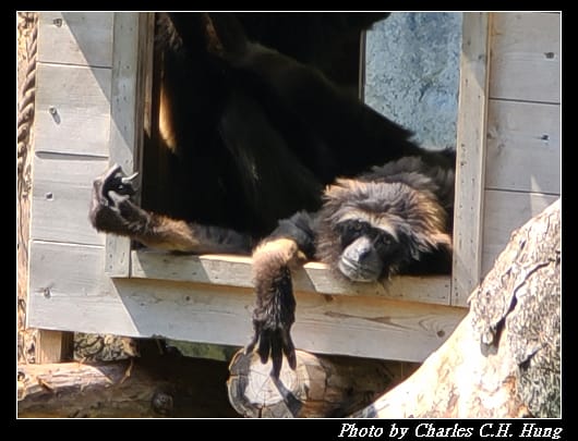 動物園_055.jpg