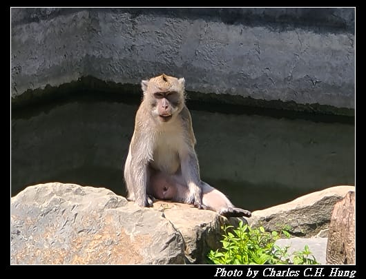 動物園_059.jpg