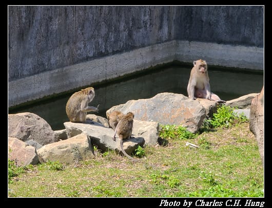 動物園_058.jpg