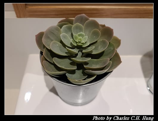 格拉斯麗_049.jpg