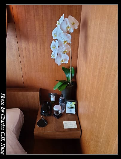 涵碧樓_061.jpg