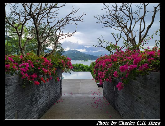 涵碧樓_197.jpg