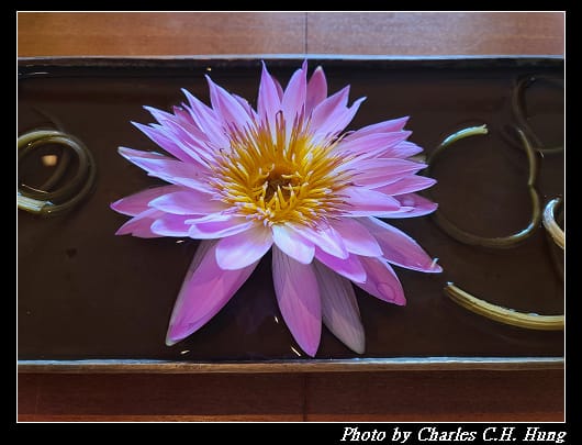 涵碧樓_026.jpg