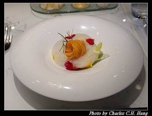 夏慕尼_039.jpg