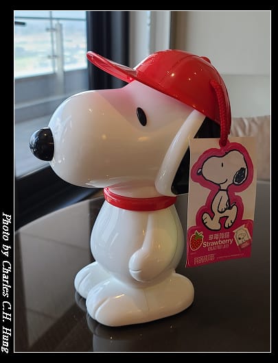 SNOOPY_006.jpg