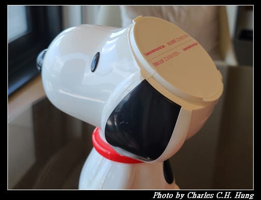 SNOOPY_011.jpg