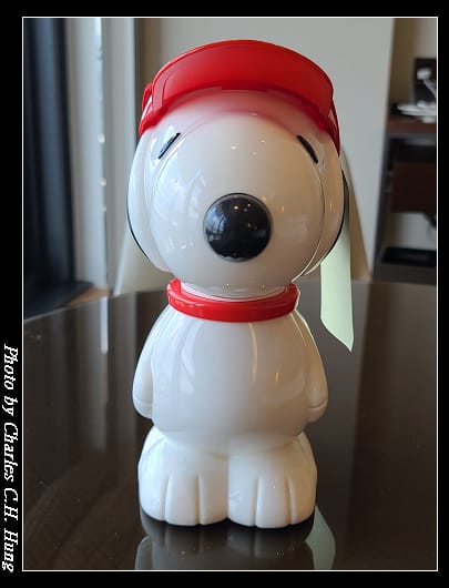 SNOOPY_007.jpg