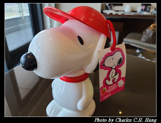 SNOOPY_002.jpg