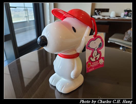 SNOOPY_001.jpg