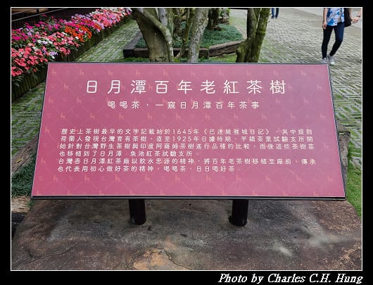 喝喝茶_023.jpg 喝喝茶_023.jpg