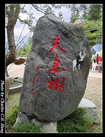 喝喝茶_052.jpg 喝喝茶_052.jpg