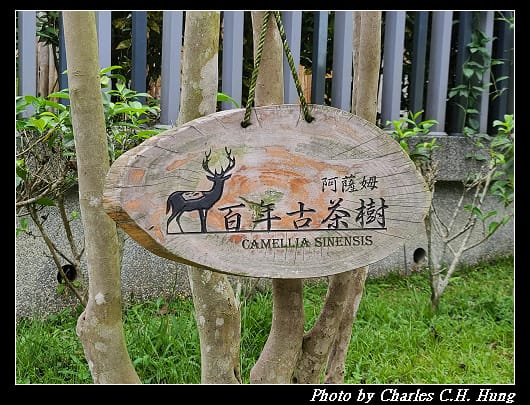 喝喝茶_005.jpg 喝喝茶_005.jpg