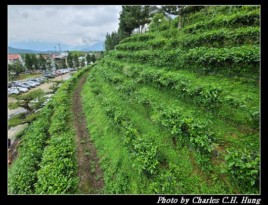 喝喝茶_059.jpg 喝喝茶_059.jpg