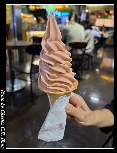 大遠百_030.jpg