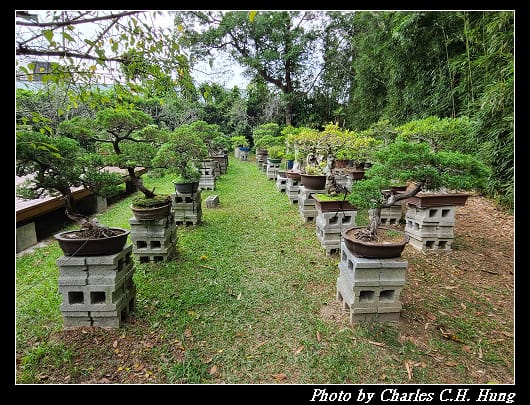 紀念_044.jpg 紀念_044.jpg