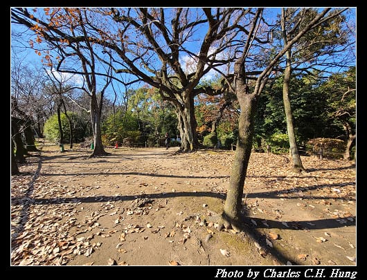 名古屋城_199.jpg 名古屋城_199.jpg