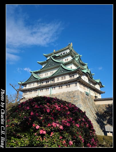 名古屋城_202.jpg 名古屋城_202.jpg