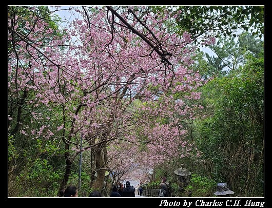 碧山巖_044.jpg
