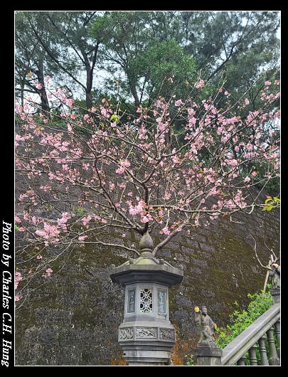 碧山巖_047.jpg