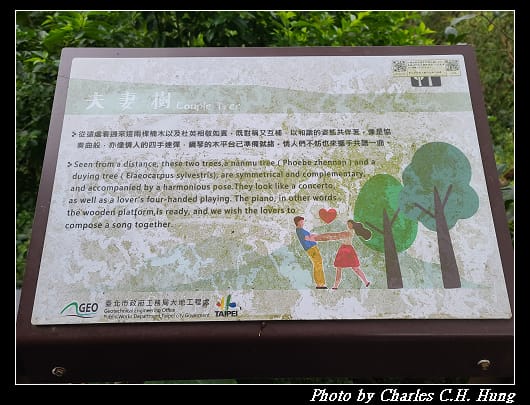 碧山巖_027.jpg