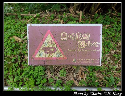 碧山巖_018.jpg