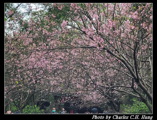 碧山巖_049.jpg