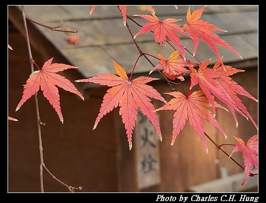 熱田神宮_077.jpg