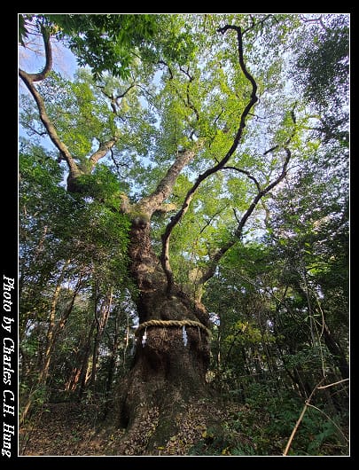 熱田神宮_090.jpg