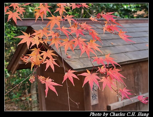熱田神宮_076.jpg