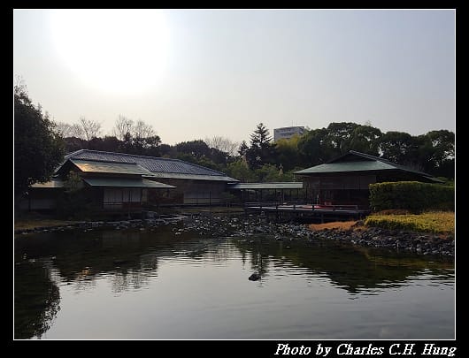 白鳥_034.jpg
