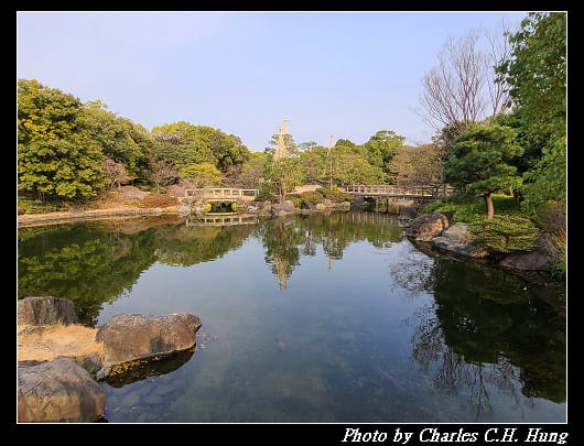 白鳥_047.jpg