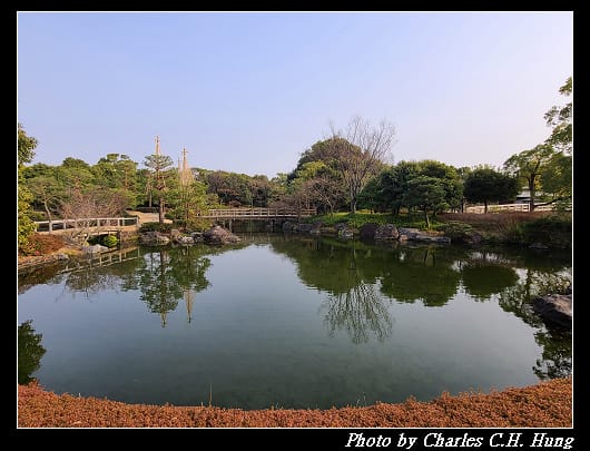 白鳥_054.jpg