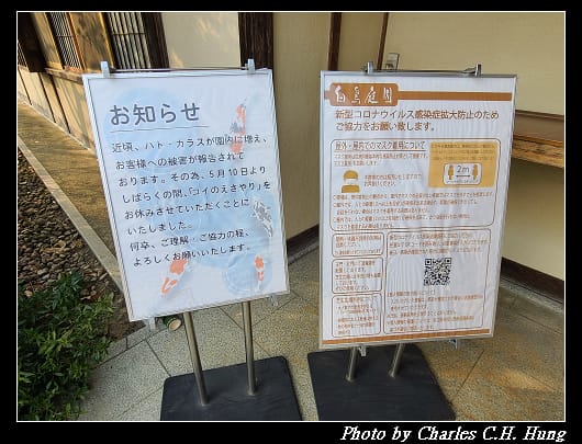 白鳥_014.jpg