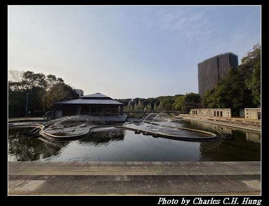 白鳥_069.jpg