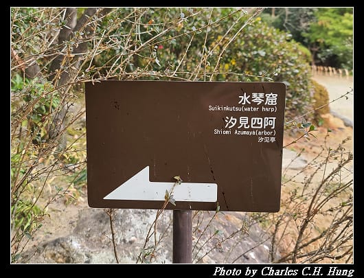 白鳥_094.jpg