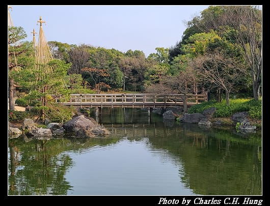 白鳥_052.jpg