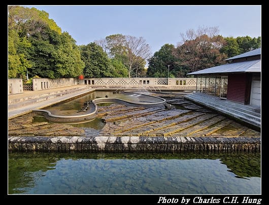 白鳥_041.jpg