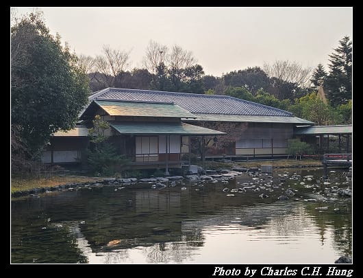 白鳥_035.jpg