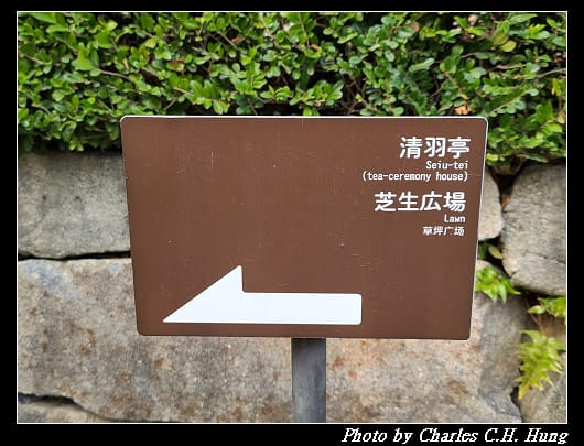 白鳥_018.jpg