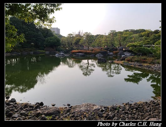 白鳥_061.jpg