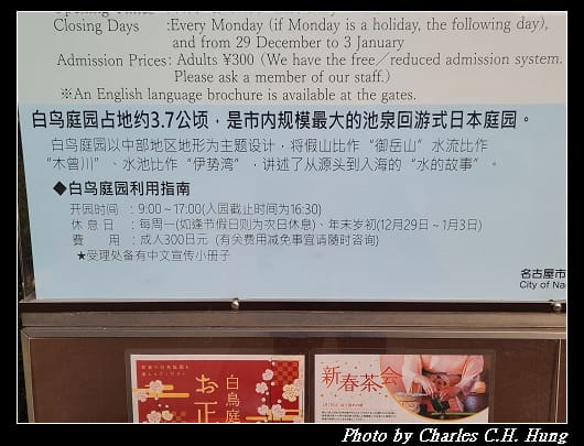 白鳥_012.jpg