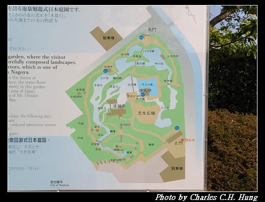 白鳥_011.jpg